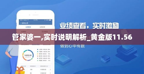 管家婆一,实时说明解析_黄金版11.560
