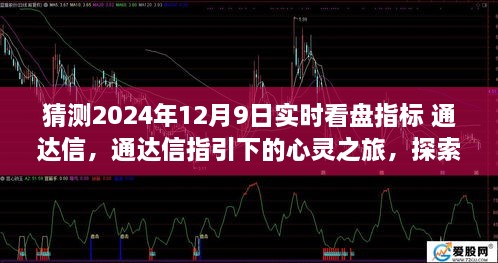 gandanxiangzhao 第8页