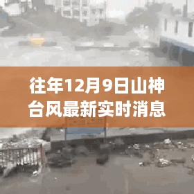 往年12月9日山神台风最新实时消息深度解读与剖析