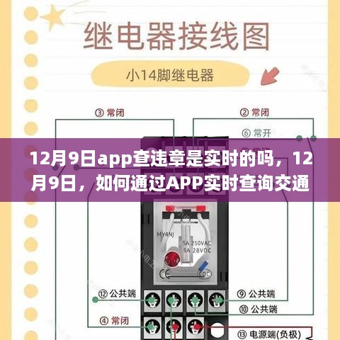 fuguironghua 第9页