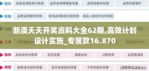 新澳天天开奖资料大全62期,高效计划设计实施_专属款16.870