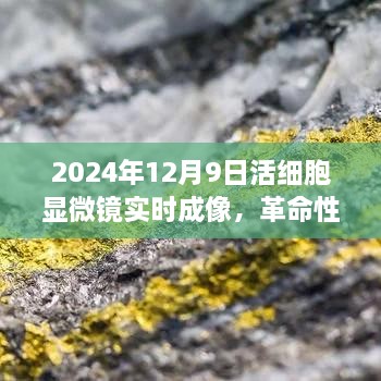 革命性活细胞显微镜，实时成像技术重塑生命科学微观世界（2024年）