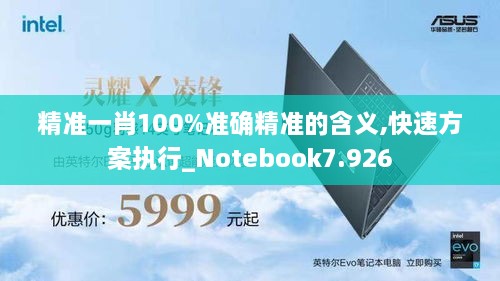 精准一肖100%准确精准的含义,快速方案执行_Notebook7.926