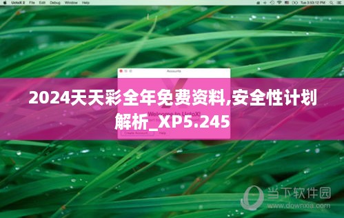 2024天天彩全年免费资料,安全性计划解析_XP5.245