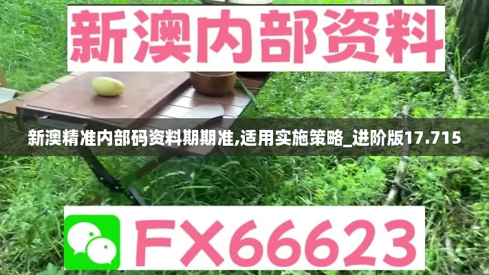 新澳精准内部码资料期期准,适用实施策略_进阶版17.715