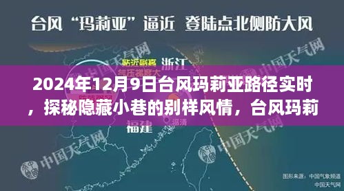 台风玛莉亚路径下的独特小店奇遇与隐藏小巷风情探秘（实时更新）