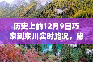 秘境探索，巧家至东川路上的实时路况与隐藏美味——小巷深处的独特风情纪实