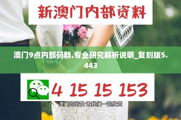 澳门9点内部码群,专业研究解析说明_复刻版5.443