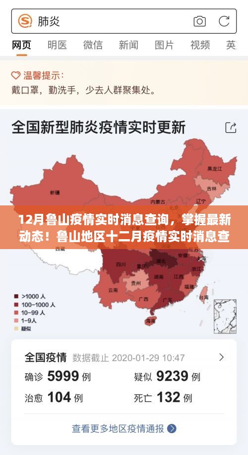 鲁山地区十二月疫情实时消息查询指南，最新动态全面掌握