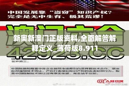 新奥新澳门正版资料,全面解答解释定义_薄荷版8.911