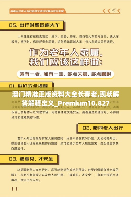澳门精准正版资料大全长春老,现状解答解释定义_Premium10.827