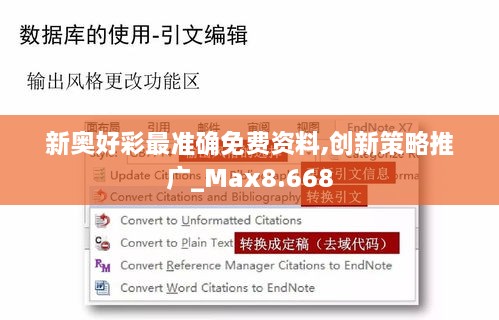 新奥好彩最准确免费资料,创新策略推广_Max8.668