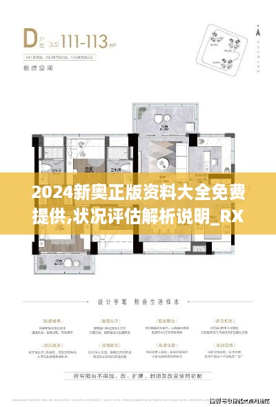 2024新奥正版资料大全免费提供,状况评估解析说明_RX版5.429