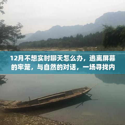 十二月逃离屏幕之旅，与自然对话，寻找内心平静之旅
