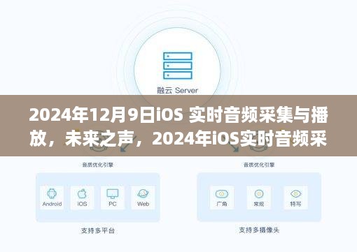 未来之声，2024年iOS实时音频采集与播放技术革新体验