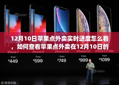 轻松科普指南，如何查看苹果外卖在特定日期的实时进度（以12月10日为例）