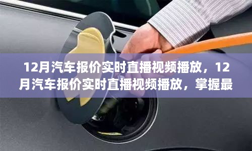 bizhangbili 第7页
