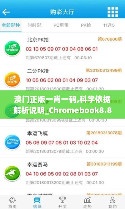 澳门正版一肖一码,科学依据解析说明_Chromebook8.874