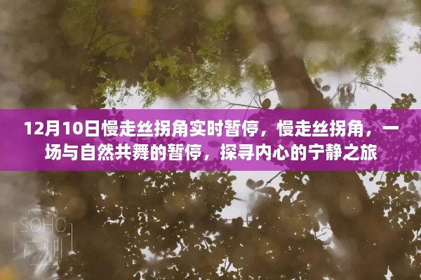 renguizili 第7页