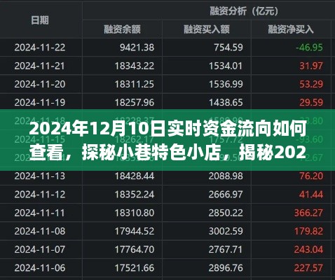 揭秘实时资金流向，探寻小巷特色小店的秘密与探秘2024年资金流向动态分析日纪实记录