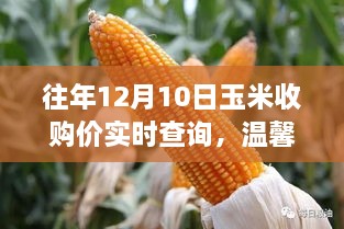 bizhangbili 第6页