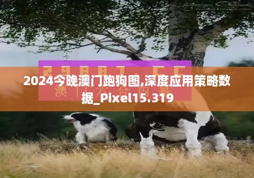 2024今晚澳门跑狗图,深度应用策略数据_Pixel15.319