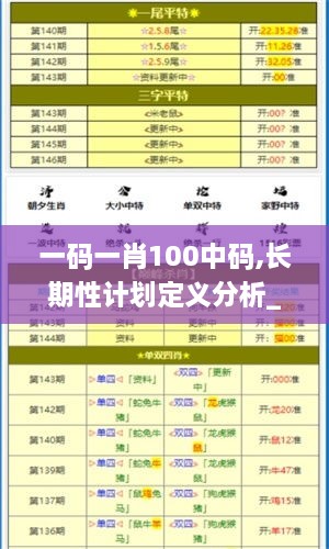 一码一肖100中码,长期性计划定义分析_SP8.201