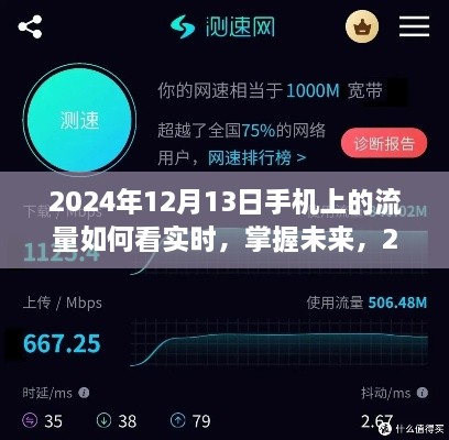 掌握未来！2024年手机流量实时查看攻略，轻松监控每日流量使用状况