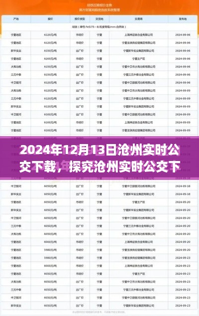 沧州实时公交下载，价值与争议并存（2024年12月13日）