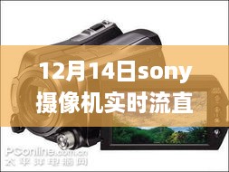 fengyunyoucun 第7页