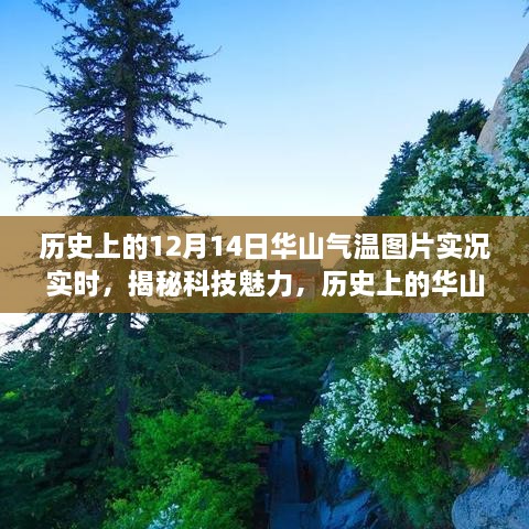 niaolibieguan 第7页