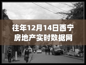 探秘西宁房地产数据宝藏，特色小店背后的岁月静好故事（实时数据网解读）