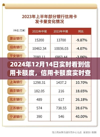 信用卡额度实时查看功能解析，利弊与个人立场探讨（以2024年观察为例）