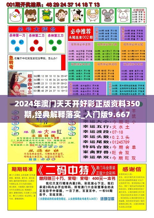 2024年澳门天天开好彩正版资料350期,经典解释落实_入门版9.667