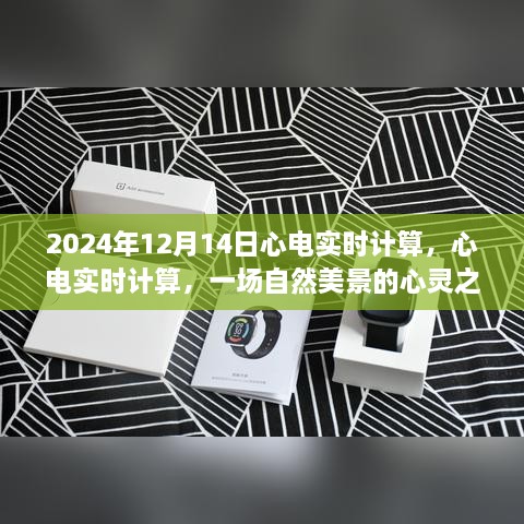 心电实时计算，心灵与自然美景的交融之旅（日期，2024年12月14日）