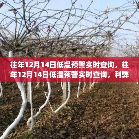 往年12月14日低温预警实时查询，分析利弊与我的观点