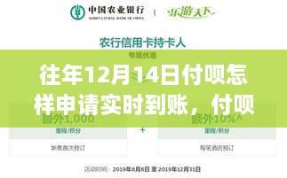 付呗实时到账申请指南，历史背景、领域地位及申请流程回顾