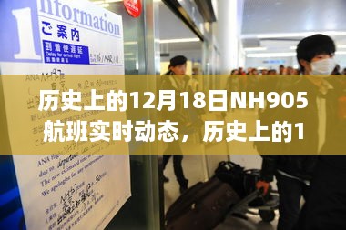 揭秘历史上的NH905航班动态，独特的视角观察十二月十八日的实时飞行轨迹