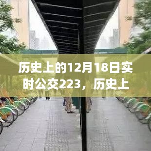 公交223背后的励志故事，见证变化的力量与自信的诞生在历史的12月18日