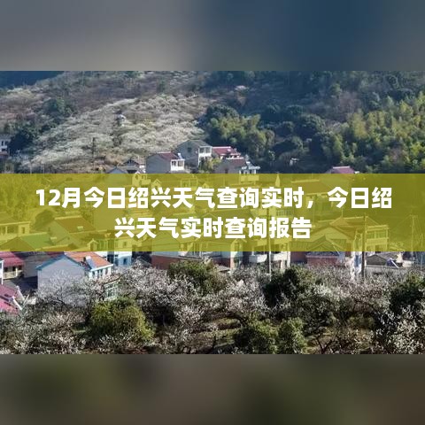 绍兴实时天气查询报告，今日天气状况详解