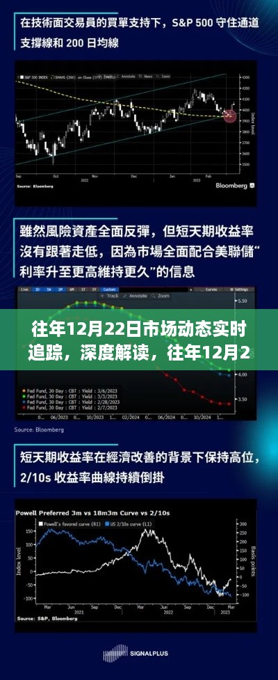往年12月22日市场动态深度解读,实时追踪及其影响分析——以XX观点透视市场趋势