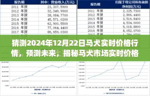 花开无言 第5页