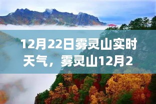 feizhubengyu 第5页