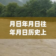 ziyouzizai 第6页