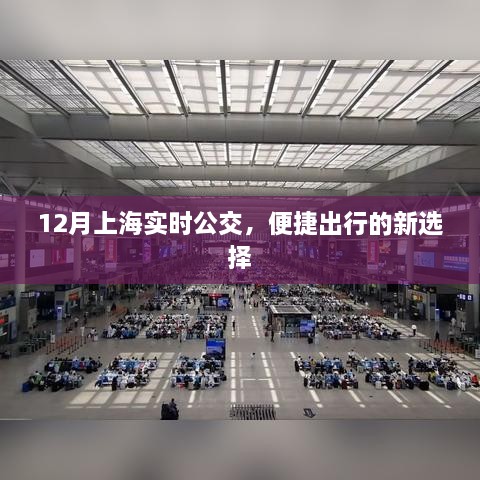 decaijianbei 第5页
