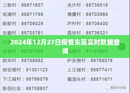 东莞疫情实时数据查询（最新更新至2024年）
