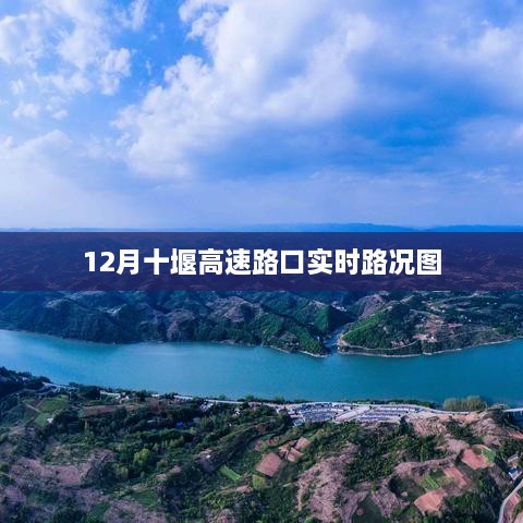 qingniaoyinqin 第4页