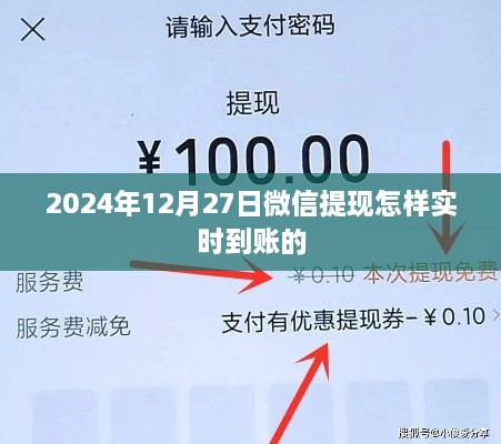 bufeizeyi 第4页