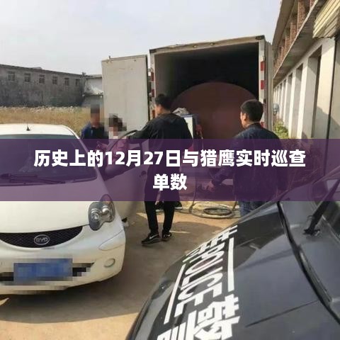 猎鹰实时巡查单数与历史日期揭秘