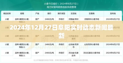 niaofeituzou 第4页